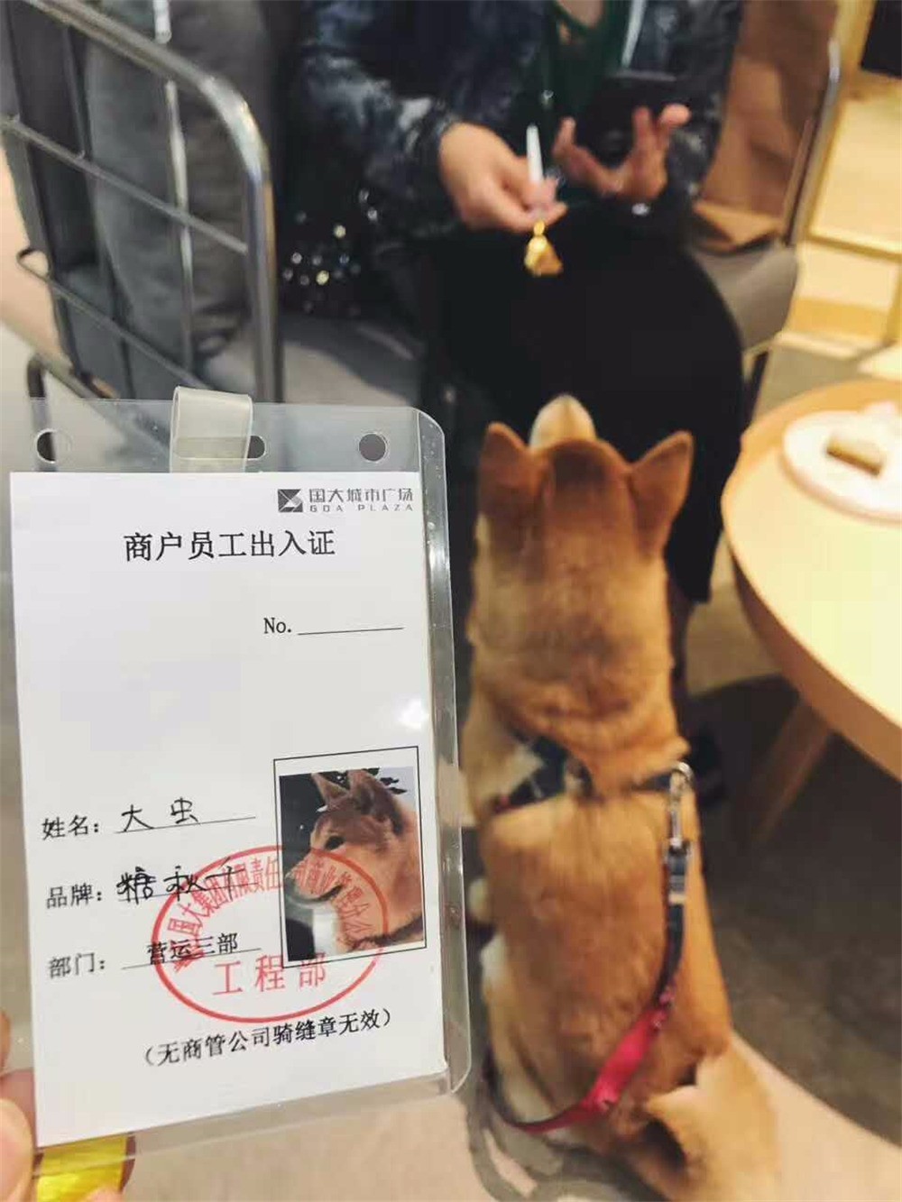 能把一条柴犬请来当服务员，也只有杭州这家新晋网红商场了吧……这波刷卡5折攻略，你一定收好！