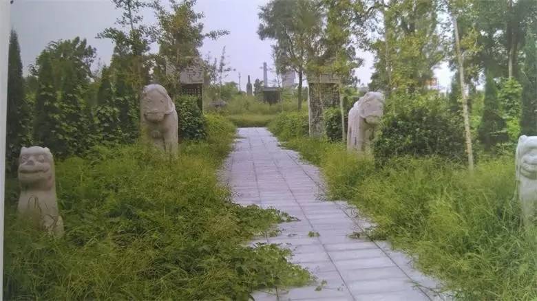 淄博有什么墓,淄博张店发现座古墓出土文物