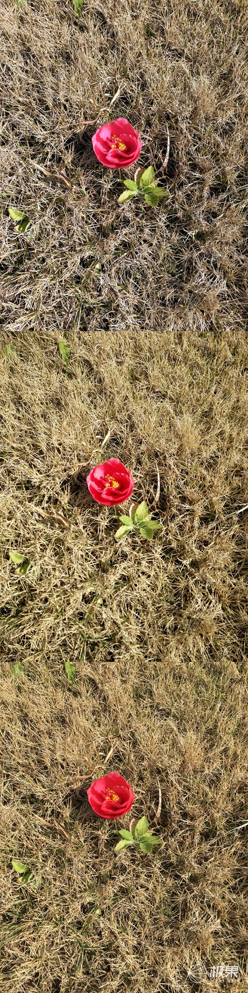 iphone6s和锤子t2哪个好,锤子t2如何进入recovery