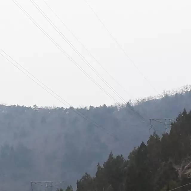 为什么我拍出来的照片不清楚,为什么拍出来的照片细节不清新