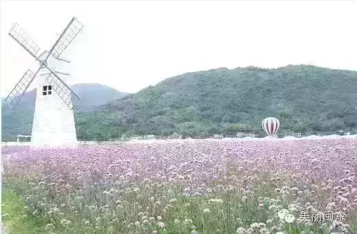 包吃住宁德农家乐地址,宁德古田翠屏湖农家乐