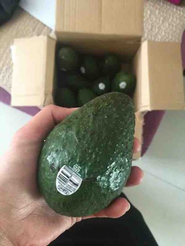 怀孕四个月吃什么保健品补充营养,孕期需要补充什么营养品科普