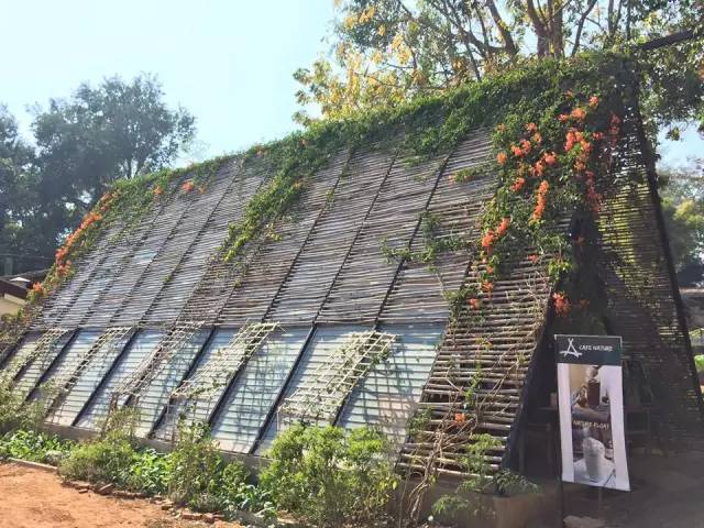 清迈重庆美食,清迈特点美食攻略大全