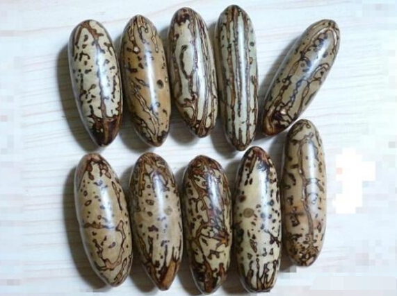 这几种菩提子打磨方法，让你立刻拥有好菩提！