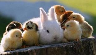 懒癌患者是什么症状,懒癌症状表现