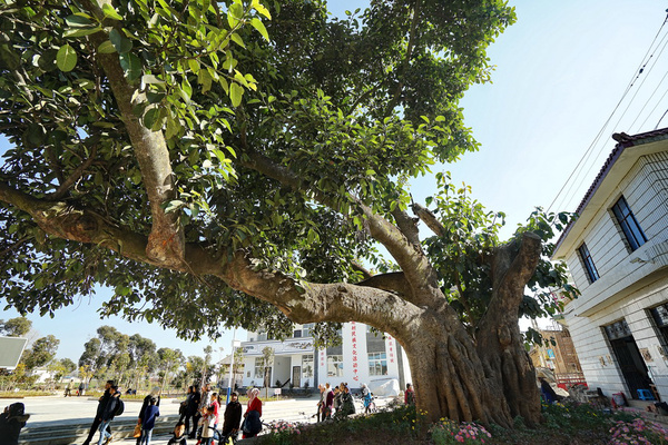 拍摄手记：大理回族女孩儿的婚礼（3）