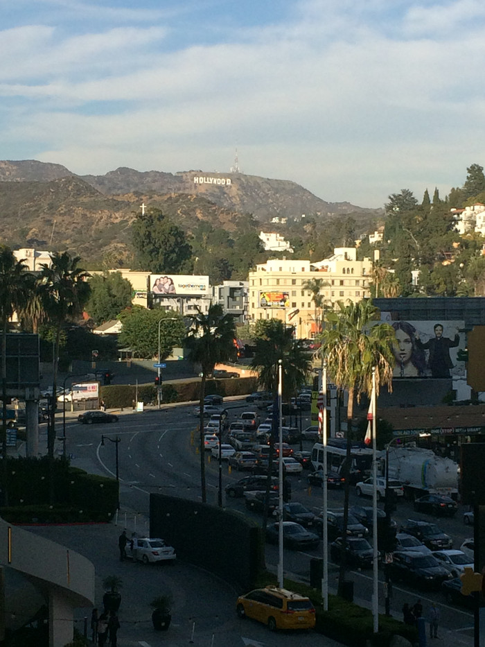 去过美国的真实感受,没去过美国不知道是好还是坏