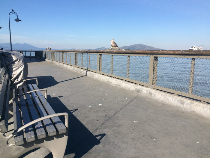 去过美国的真实感受,没去过美国不知道是好还是坏