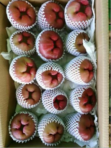 有阳光的日子，都不辜负｜听台商李贤治在川“务农”的“庄园经”