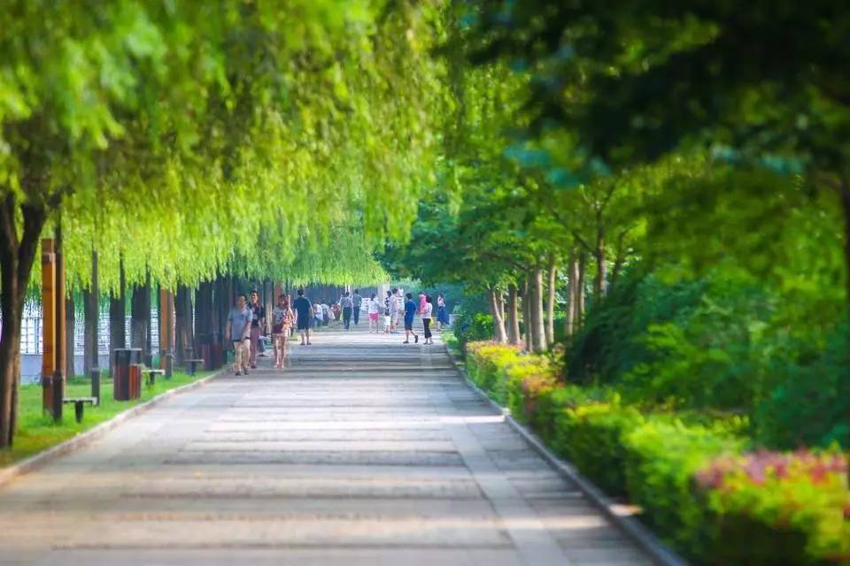 汉口江滩沙池,汉阳江滩沙池游乐场