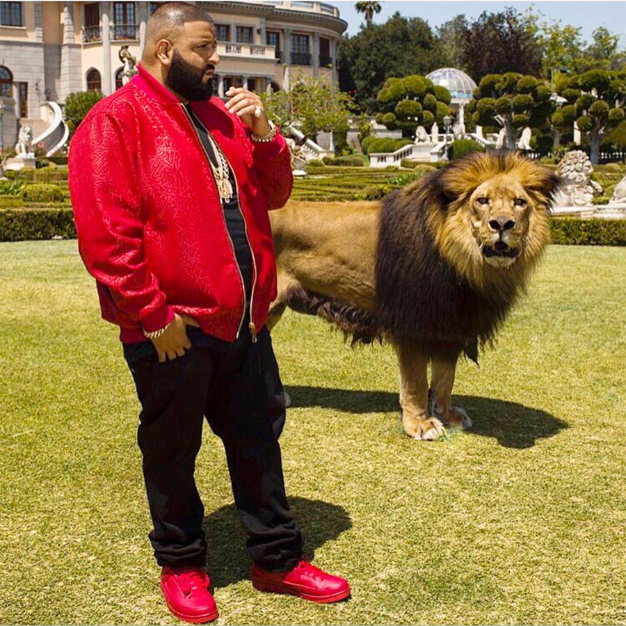 一个神奇的网站官网,便宜可信的球鞋网站