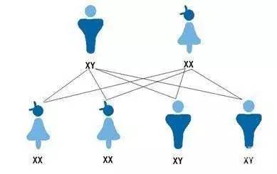 生男生女随心控制？朋友圈爆款“神药”的真相竟然是这样