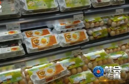 人造鸡蛋真假难辨,人造假鸡蛋