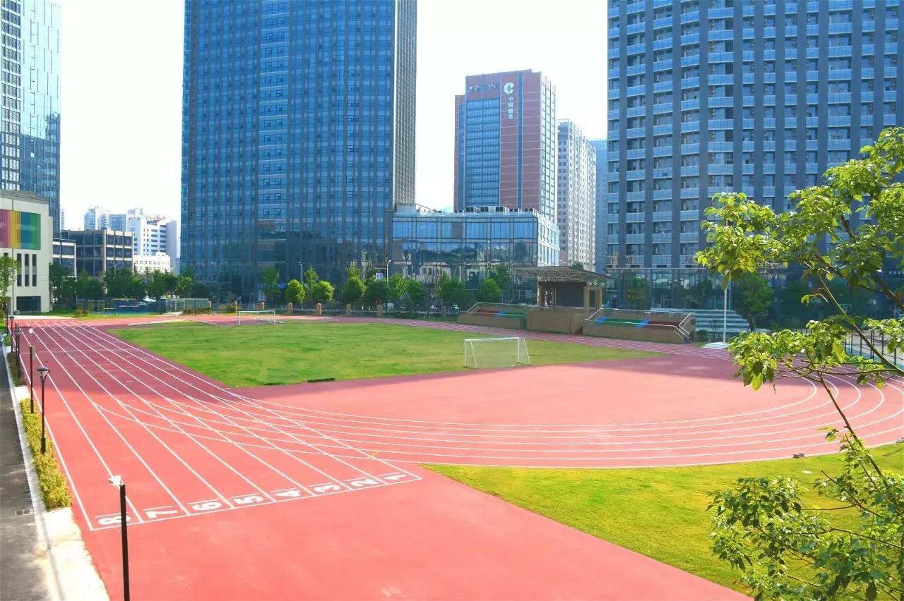 丹枫实验小学扩建,丹枫实验小学的平面图