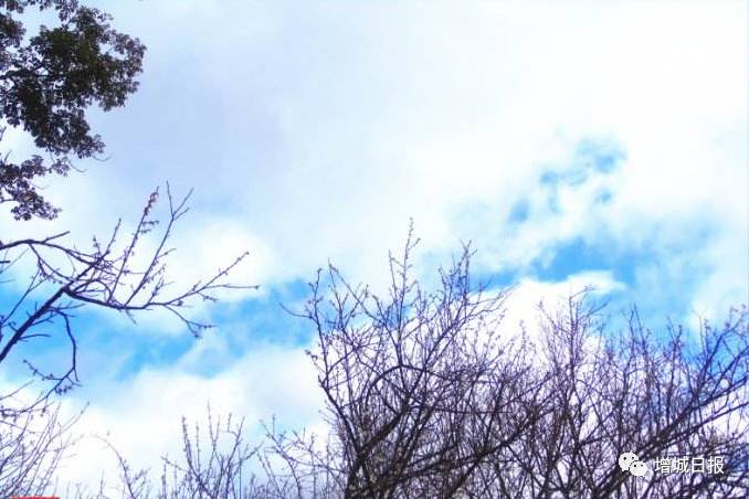 增城免费旅游景点攻略,增城必去十大免费景点小白云山