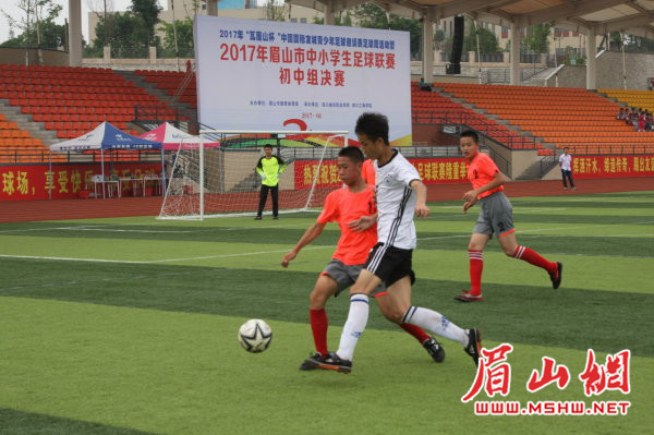 眉山市中小学足球比赛视频洪雅,眉山青少年足球比赛