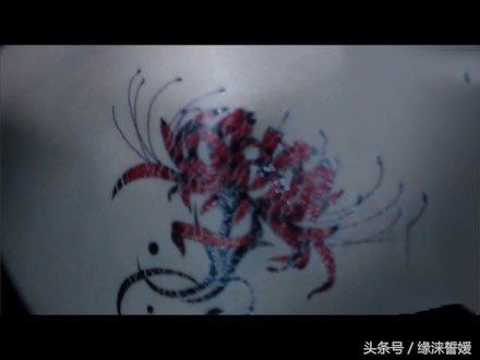 楚乔传星儿的真实身份是谁,楚乔传星儿的真身份