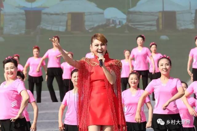 第十六届农村文化艺术节,第二届全国农民文化艺术节