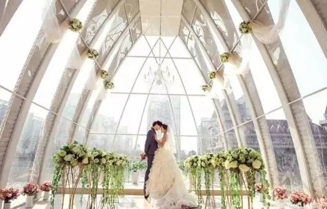 苏州宠物可去的景点,苏州宠物打卡景点在哪里