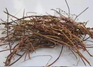 对肝脏好的食物和茶都是什么,喝菊花决明子茶对肝脏有好处吗