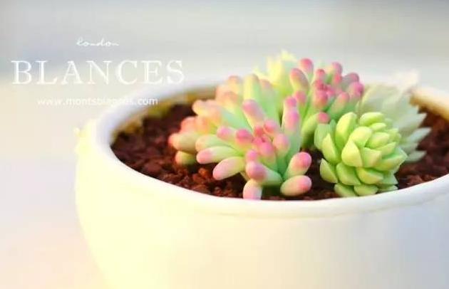 为什么牙科医生看牙那么贵,为啥公立医院看牙更贵