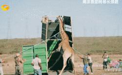 陈柏霖的演技总是让人回味无穷,陈柏霖帅男