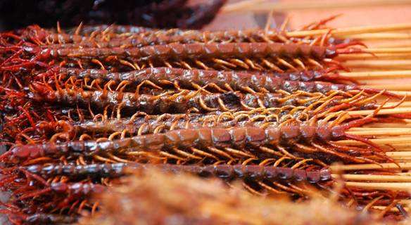 三款令人不可思议的美食,这些神奇的美食让你更惊艳