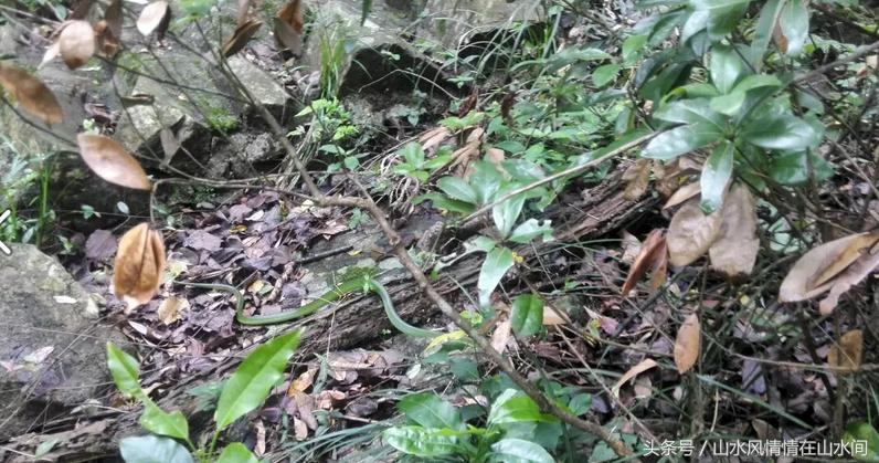 航模户外运动的注意事项,户外运动注意事项和防护措施