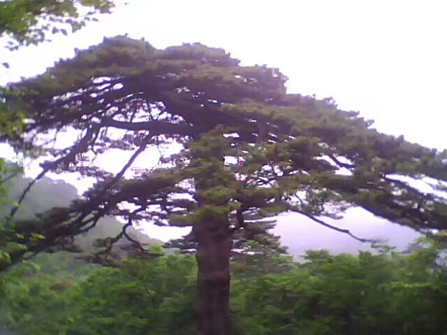 菱行（环中原骑行）5/21篇江西景德镇——浙江杭州