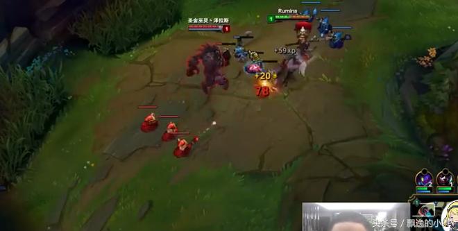 pdd骚猪被砍了6万刀,骚猪pdd最新消息