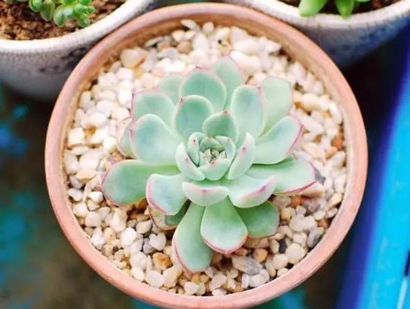 为什么牙科医生看牙那么贵,为啥公立医院看牙更贵