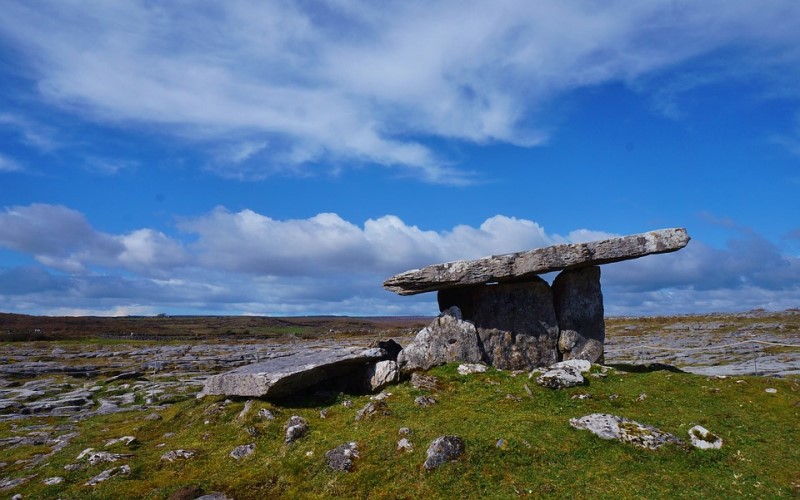 什么香料的香味和泽蒙花接近,野生泽蒙花图片大全