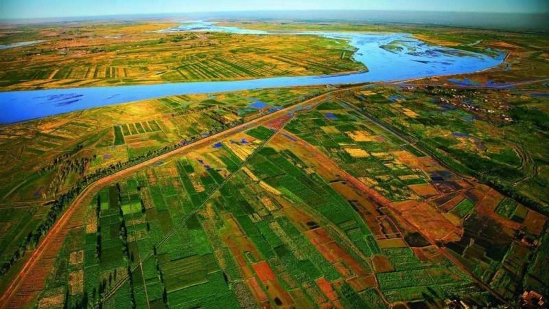 什么香料的香味和泽蒙花接近,野生泽蒙花图片大全