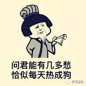 小秋葵有什么好吃的,夏天要多吃秋葵教你新吃法