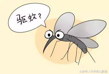驱蚊灭蚊的黑科技到底有没有用,央视曝光50种驱蚊产品无一有效