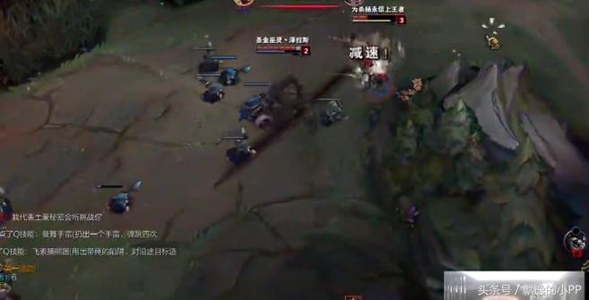 pdd骚猪被砍了6万刀,骚猪pdd最新消息