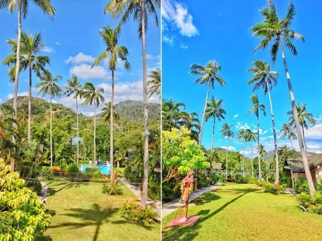 普吉岛“小包总”又火了！撞脸明星的他，用四川美食征服整个海岛