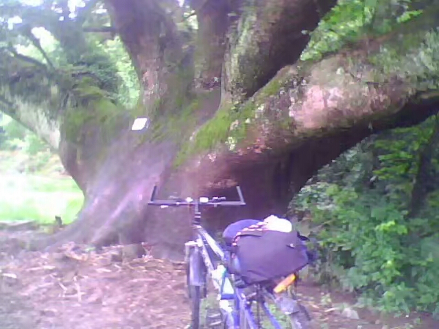 菱行（环中原骑行）5/21篇江西景德镇——浙江杭州