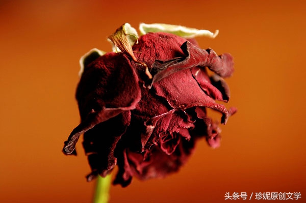 原创小说《血案发生在黎明时分》（二）根据真实新闻改编