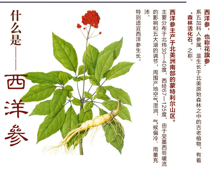 同样是参，人参、沙参、太子参、*党**参，你都知道补什么么？