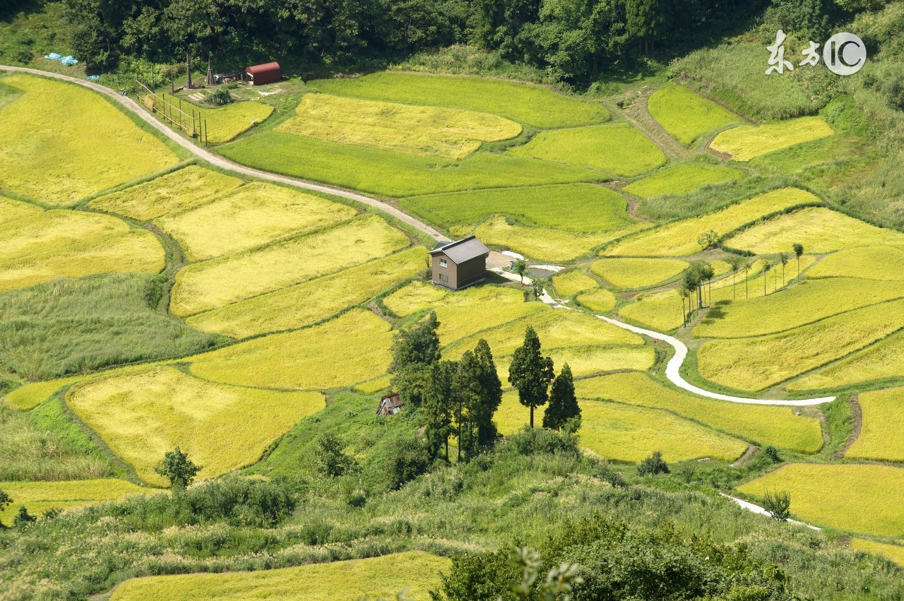 乡村生活的古诗村居,借景抒情田园古诗