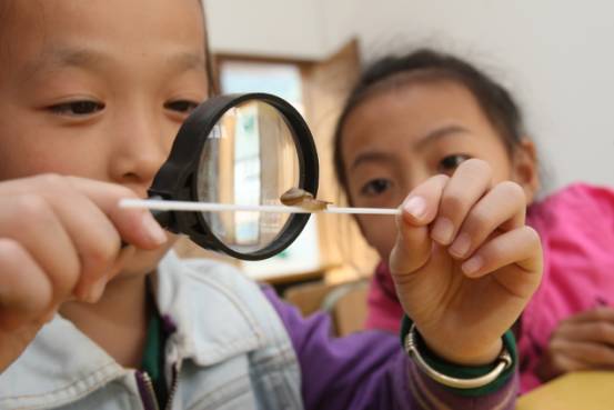 砥砺奋进五年视频,砥砺奋进的五年纪录片