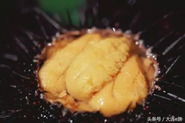 大连沙河口西岗中山哪个区最大,大连市区中山西岗沙河口