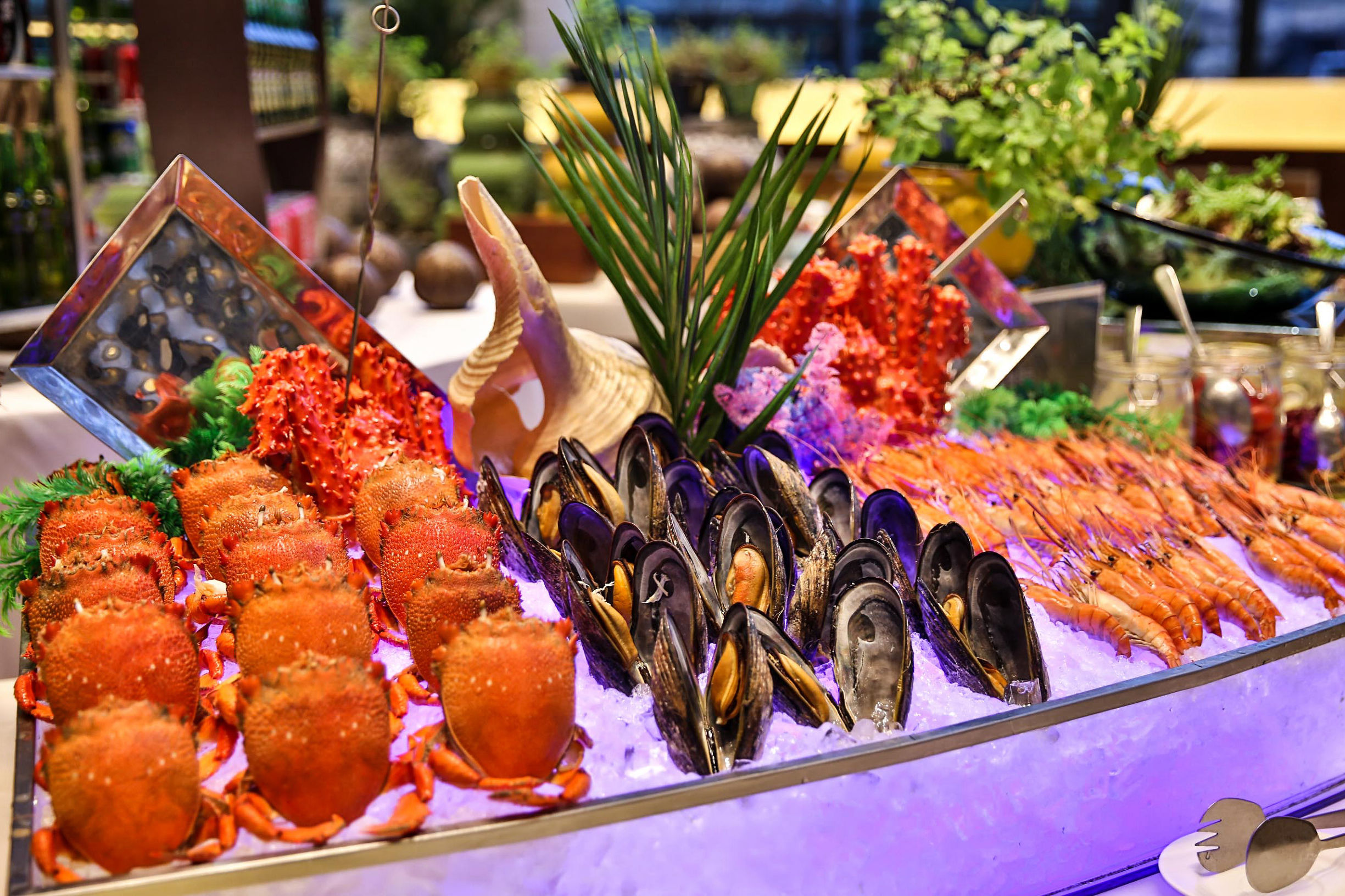 仲夏玩翻天，趣享亲子时光丨福州中庚喜来登酒店