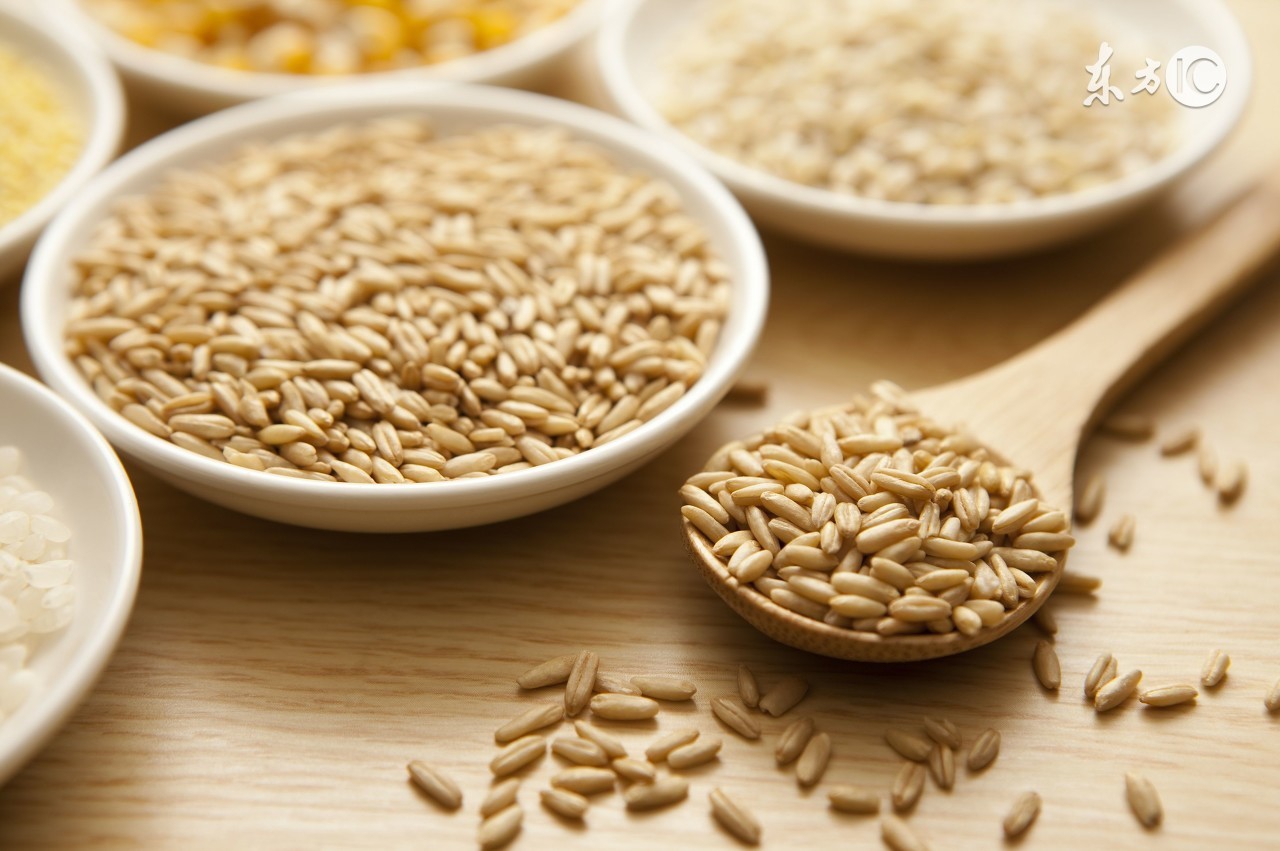 谷物大脑科学吗,谷物伤害大脑