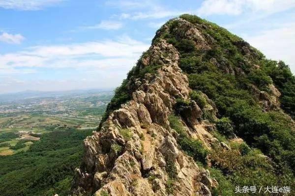 大连沙河口西岗中山哪个区最大,大连市区中山西岗沙河口