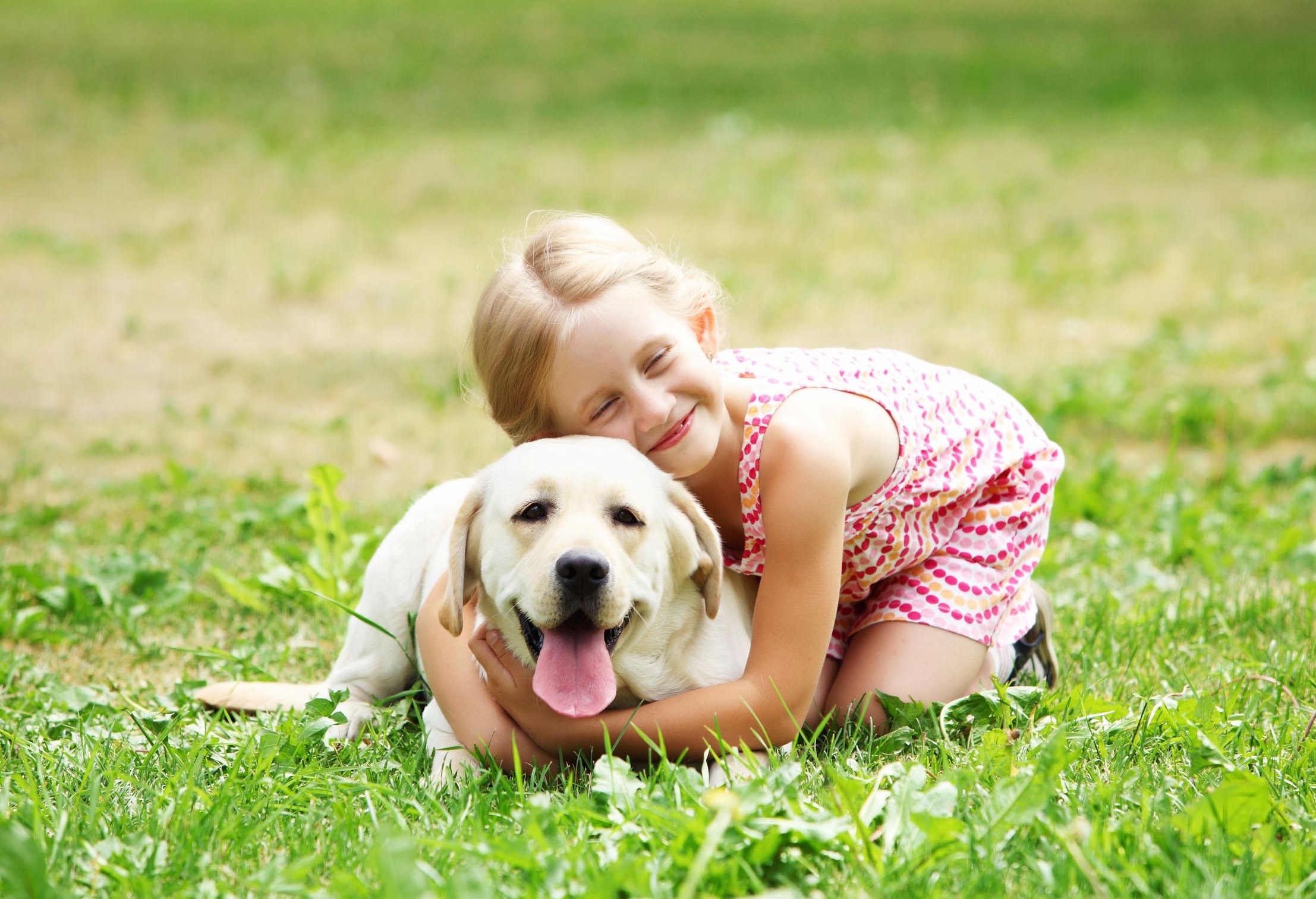 让孩子养宠物的好处,该不该给孩子养宠物