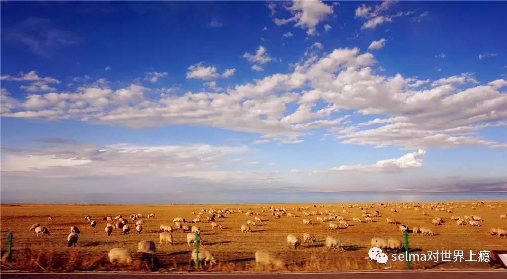 国外旅游攻略西欧,欧洲旅游西班牙出发攻略最新