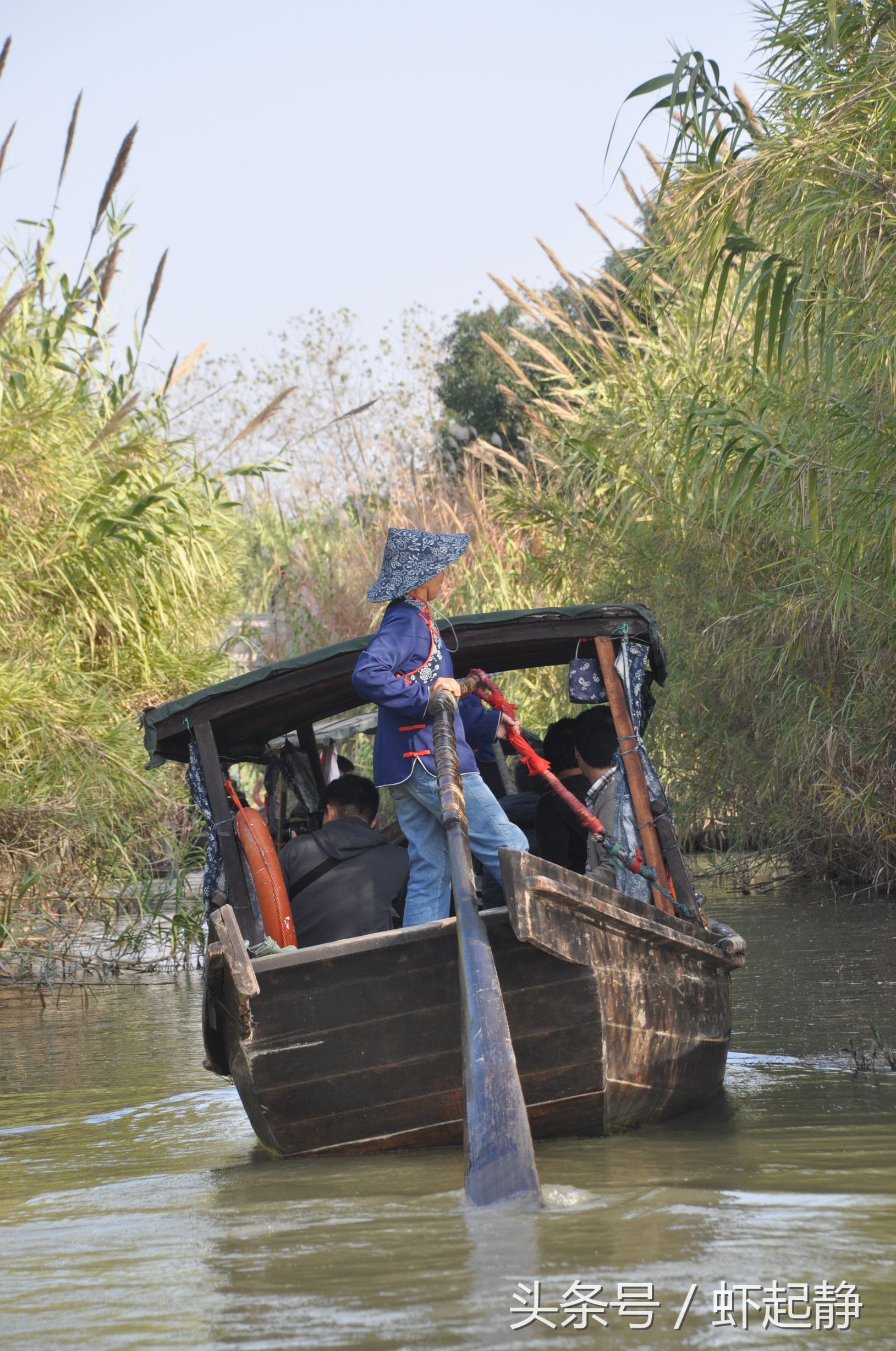 沙家浜芦苇荡风景区民宿价格,沙家浜故事原型芦苇荡在哪里
