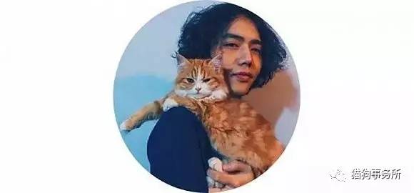 为什么猫可以让一个人的心情变好,猫能使人成熟的从来不是岁月